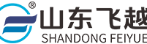 山东飞越